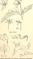 An illustration from Keramic studio (1899)