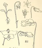 An illustration from Keramic studio (1899)