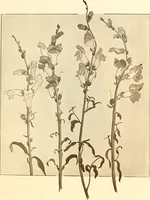 An illustration from Keramic studio (1899)