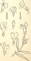 An illustration from Keramic studio (1899)