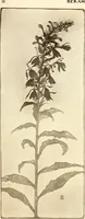 An illustration from Keramic studio (1899)