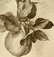 An illustration from Keramic studio (1899)
