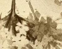An illustration from Keramic studio (1899)