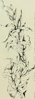 An illustration from Keramic studio (1899)