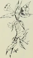 An illustration from Keramic studio (1899)