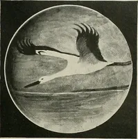 An illustration from Keramic studio (1899)