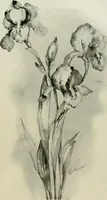 An illustration from Keramic studio (1899)