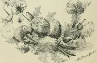 An illustration from Keramic studio (1899)