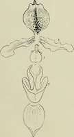 An illustration from Keramic studio (1899)