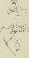 An illustration from Keramic studio (1899)
