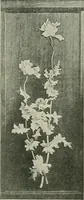 An illustration from Keramic studio (1899)
