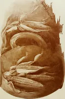 An illustration from Keramic studio (1899)