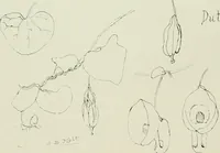An illustration from Keramic studio (1899)