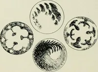 An illustration from Keramic studio (1899)