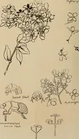 An illustration from Keramic studio (1899)