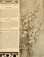 An illustration from Keramic studio (1899)