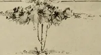 An illustration from Keramic studio (1899)