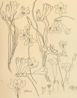 An illustration from Keramic studio (1899)