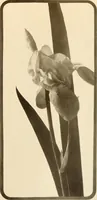 An illustration from Keramic studio (1899)