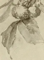 An illustration from Keramic studio (1899)