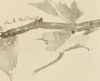 Picture 247 of 525 from Keramic studio (1899), leaf 164
