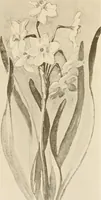 An illustration from Keramic studio (1899)