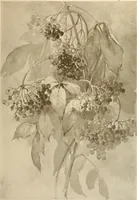 An illustration from Keramic studio (1899)