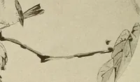 An illustration from Keramic studio (1899)