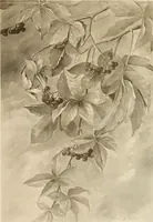 An illustration from Keramic studio (1899)