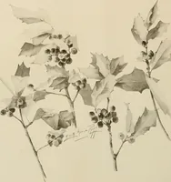 An illustration from Keramic studio (1899)