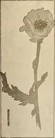 An illustration from Keramic studio (1899)