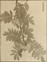 An illustration from Keramic studio (1899)