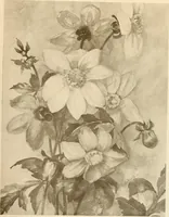 An illustration from Keramic studio (1899)