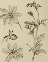 An illustration from Keramic studio (1899)