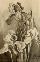 Picture 22 of 525 from Keramic studio (1899), leaf 24