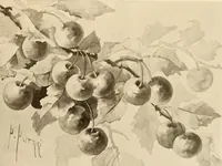 An illustration from Keramic studio (1899)