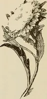 An illustration from Keramic studio (1899)