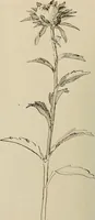 An illustration from Keramic studio (1899)
