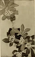 An illustration from Keramic studio (1899)