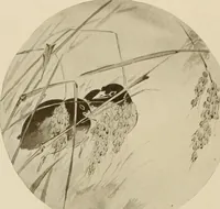An illustration from Keramic studio (1899)