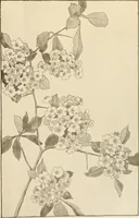 An illustration from Keramic studio (1899)