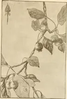 An illustration from Keramic studio (1899)