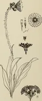 An illustration from Keramic studio (1899)