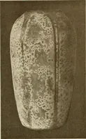 An illustration from Keramic studio (1899)