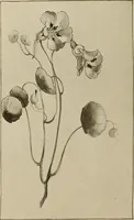 An illustration from Keramic studio (1899)