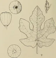 An illustration from Keramic studio (1899)