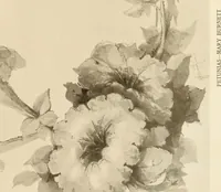 Picture 506 of 525 from Keramic studio (1899), leaf 328