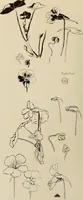 An illustration from Keramic studio (1899)