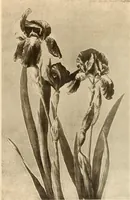 An illustration from Keramic studio (1899)