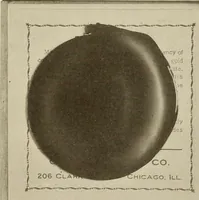 Picture 521 of 525 from Keramic studio (1899), leaf 337